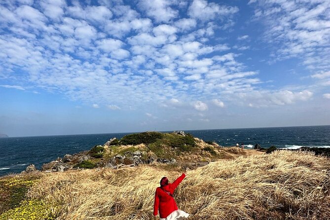 Jeju Island English Private & Flexible Tour any number anywhere - Picking the right side of the island