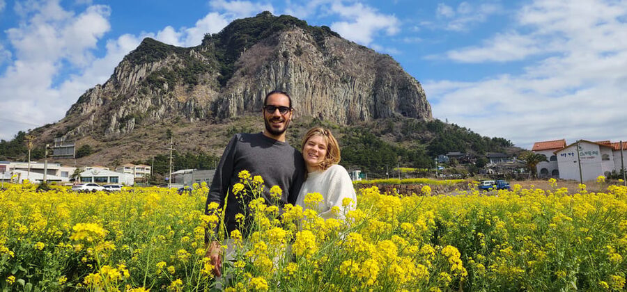 Jeju Island: Full-Day Customizable Private Guided Car Tour - Is $418 good value for your group?