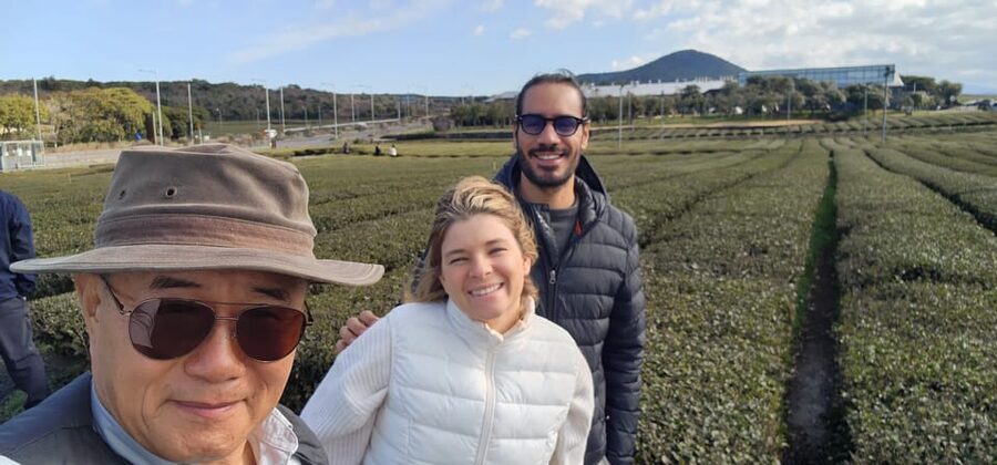 Jeju Island: Full-Day Customizable Private Guided Car Tour - Tea plantations, cafes, and a gentler afternoon
