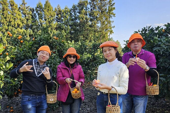 Jeju island Jumbo taxi Private Tour with Mr.Hong west of jeju - Starting at Hyeopjae Beach