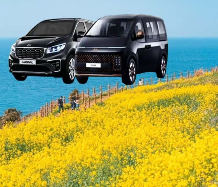 Jeju Island: Private Car Charter Tour - Eastern Jeju: volcanoes, caves, and coastal stops