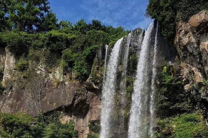Jeju island private Day tour – west and south of Jeju island - O’sulloc brings a quieter change of pace
