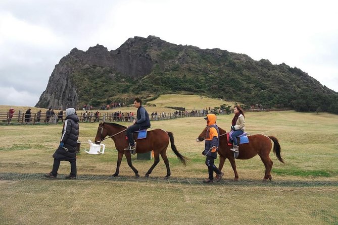 Jeju Island Private Taxi Tour : 2 Full days - Day two: tea, cliffs, and volcanic coast