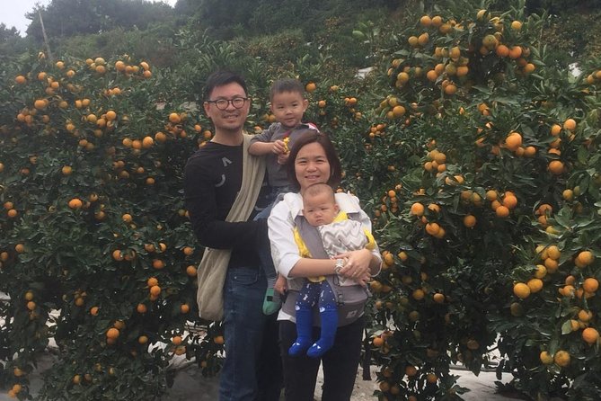 Jeju Island Private Taxi Tour : 2 Full days - What the $240 price really buys