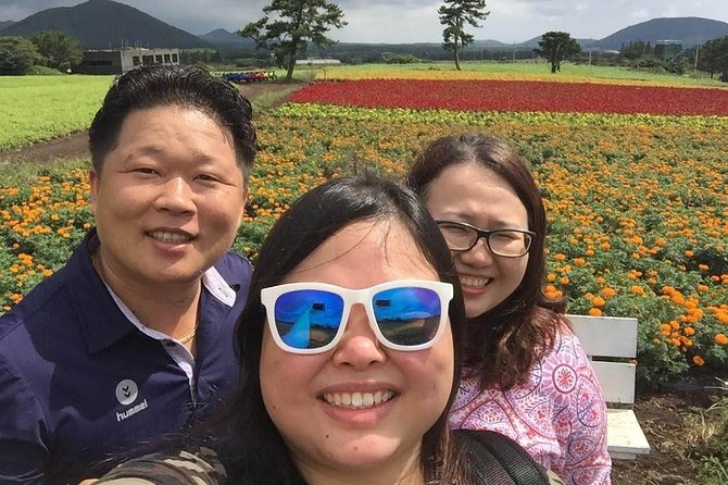 Jeju Island Private Taxi Tour : 3 Full days - Guides, language, and the feel of the ride