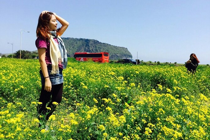 Jeju island Private Tour - UNESCO Day Tour & Haenyeo Performance - Seongeup Folk Village and old Jeju life