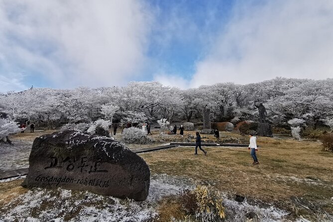 Jeju island Private Tour - UNESCO Day Tour & Haenyeo Performance - Jeju Stone Park and the Manjanggul replacement