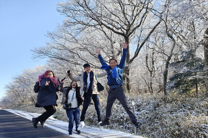 Jeju island Private UNESCO Tour - For Cruise customer - Jeongbang Waterfall and Seogwipo’s rocky coast
