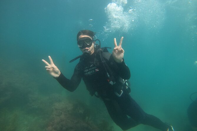Jeju Island, Seongsan Ilchulbong, Discover Scuba Diving - About 30 minutes in the water