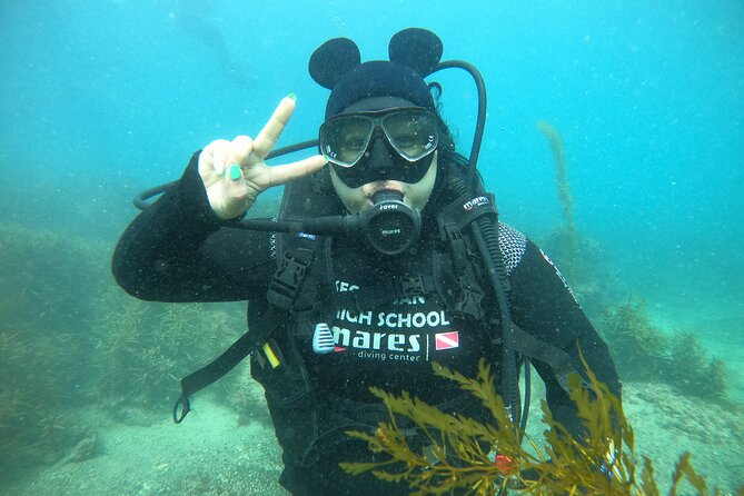 Jeju Island, Seongsan Ilchulbong, Discover Scuba Diving - Is the $69.18 price good value?