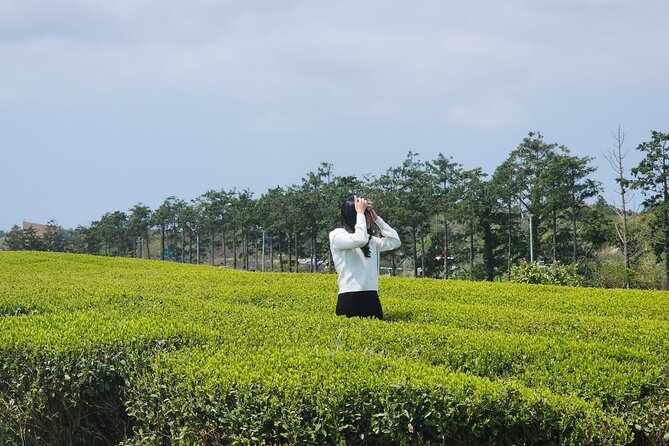 Jeju island Southern UNESCO Day Tour With Hallasan MT - Lunch is a break, but you pay for it separately