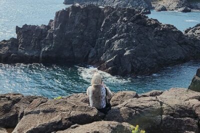 Jeju island Southern UNESCO Day Tour With Hallasan MT