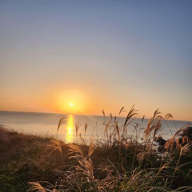 Jeju Island: Sunrise Guided Tour with Hotel Pickup - My call: book it for convenience, not for a full tour