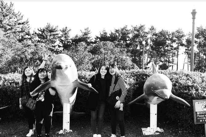 Jeju Island Taxi Tour : South Day Tour - The guide question: driver, interpreter, or both?