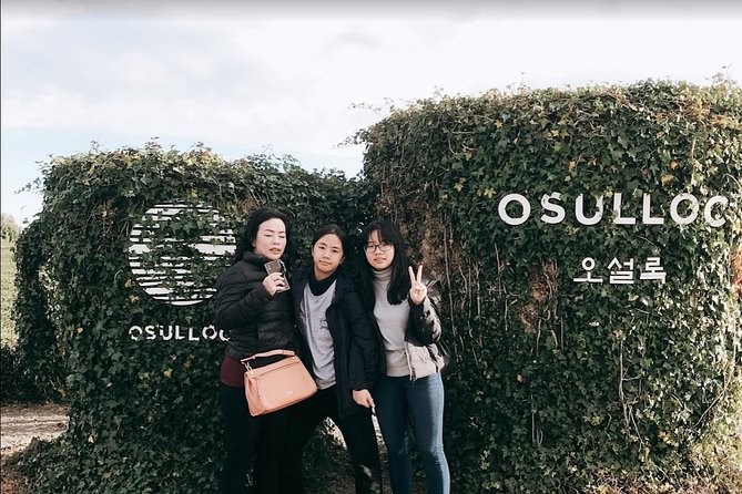 Jeju Island Taxi Tour - West Day Tour - Yongmeori Coast: the day’s most dramatic walk