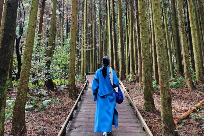 Jeju Island UNESCO Heritage Bus Tour - What the schedule changes mean for your plans