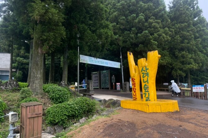 Jeju Island UNESCO Heritage Bus Tour - Should you book the Jeju UNESCO Heritage Bus Tour?