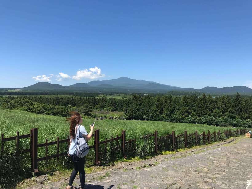 Jeju Island: Van Tour with a Guide Who Most Loves Jeju - Key points at a glance