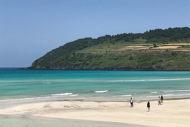 Jeju island: Van tour with a guide who the most loves JEJU - Saryeoni Forest Path as a useful bonus