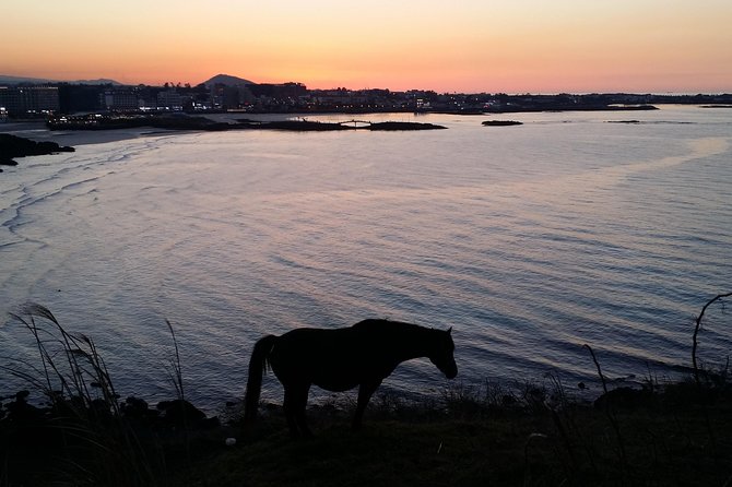 Jeju island: Van tour with a guide who the most loves JEJU - What the $279 group price really buys