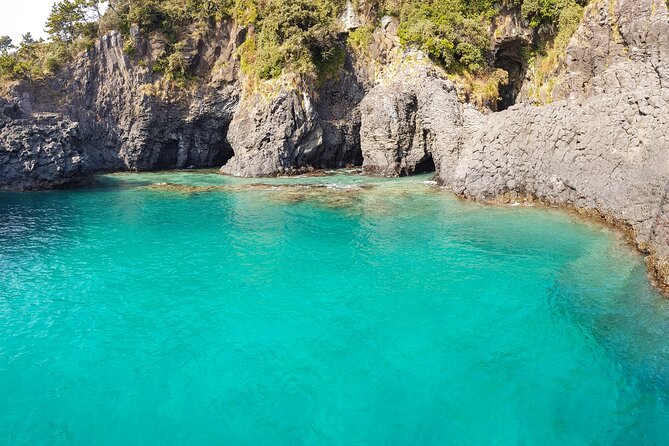 Jeju Luxury Private Tour Including UNESCO Yacht Cruise - Yongmeori Coast and its dragon-head cliffs