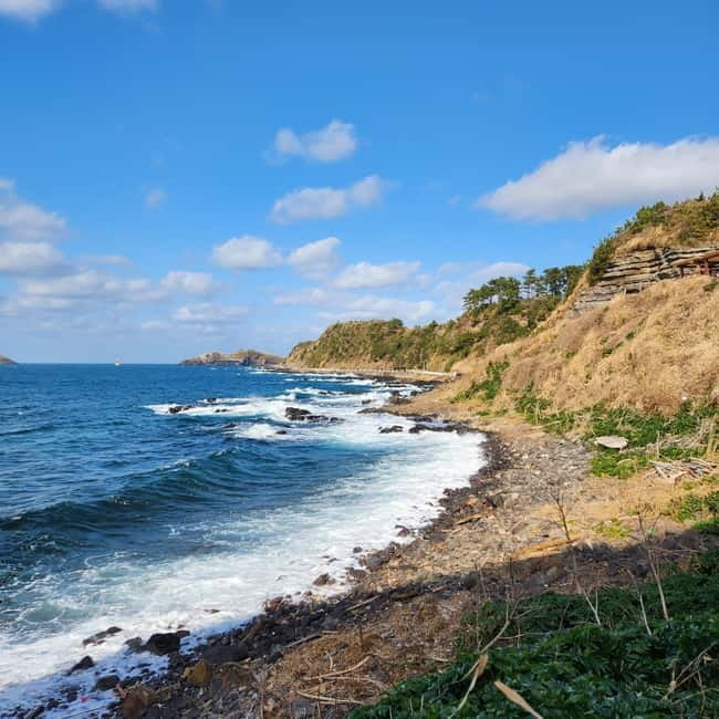 Jeju: Popular Sightseeing Private Car Charter Tour - The west route: flowers, cafes, and coastal roads