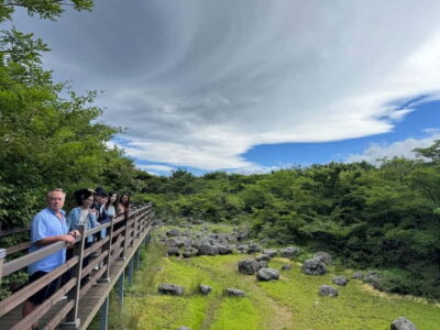 Popular Sightseeing Private Car Charter Tour