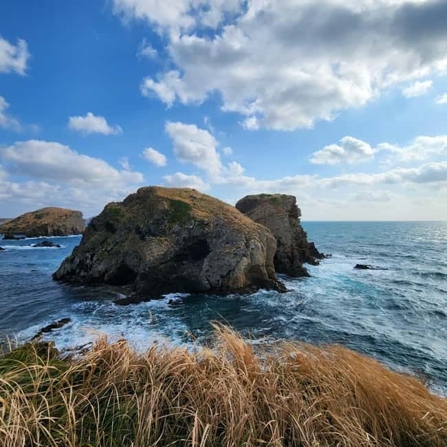 Jeju: Popular Sightseeing Private Car Charter Tour - Who should book this Jeju car tour?