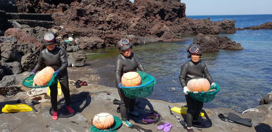 Jeju Premium Small Group UNESCO Day Tour - East - Key points at a glance