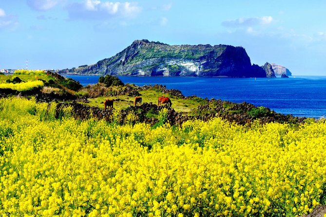 Jeju Premium Small Group UNESCO Day Tour - East Course - Seongsan Ilchulbong is the day’s main climb