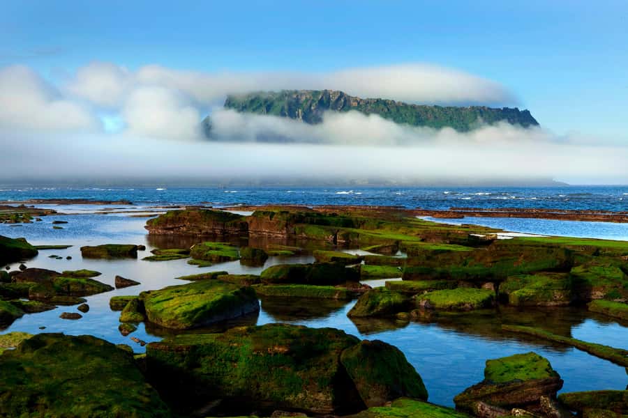 Jeju Premium Small Group UNESCO Day Tour - East - Woljeongri Beach and a gentle start
