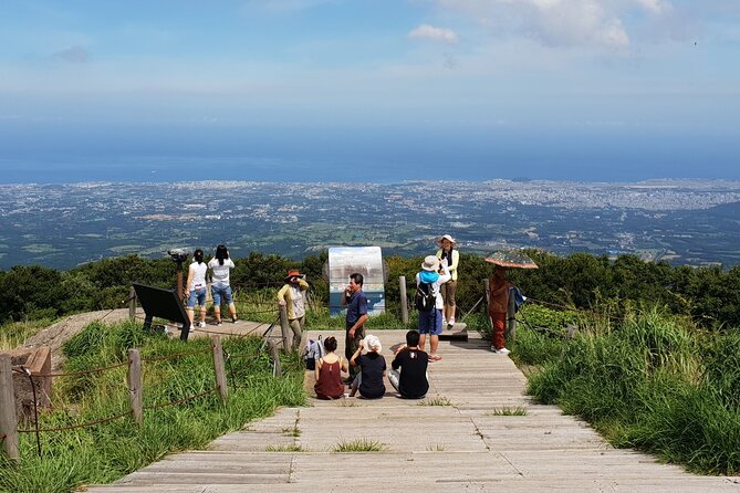 Jeju Premium Small Group UNESCO Day Tour - South Course - Why the south course works without a rental car