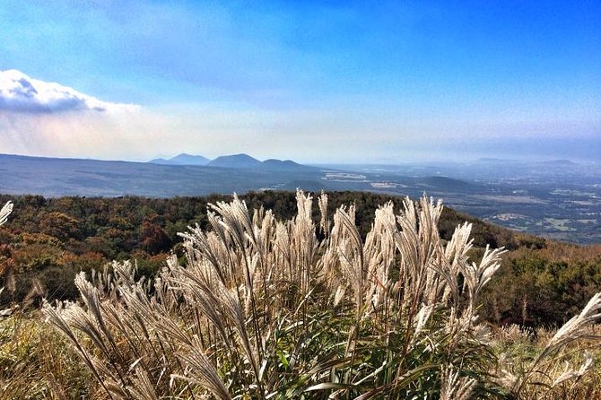 Jeju Premium Small Group UNESCO Day Tour - South Course - Hallasan’s Eoseungsaengak Trail starts the day