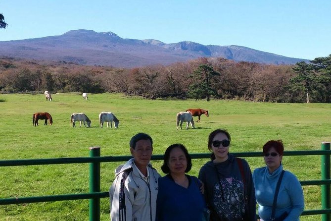 Jeju Private Full day tour of UNESCO Day Tour - Seopjikoji for coast, flowers, and film scenery