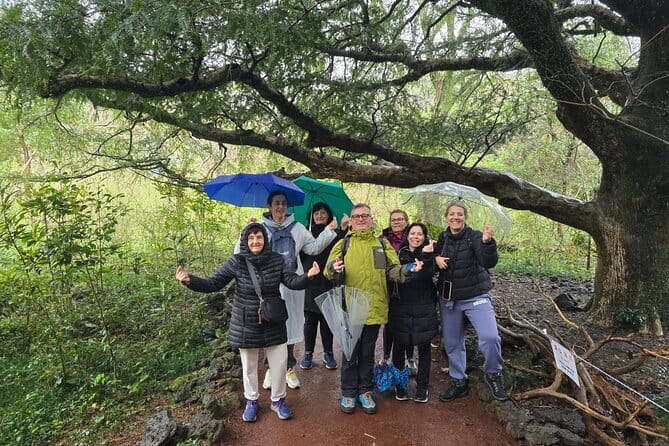 Jeju Private Half-Day Tour for Cruise Customers - Why this private Jeju tour works for a short port call