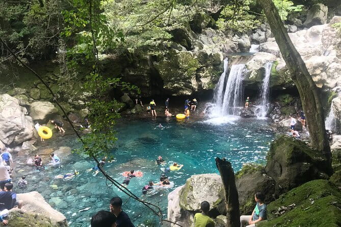 Jeju Private Half-Day Tour for Cruise Customers - Seongsan Ilchulbong and the 2pm haenyeo show