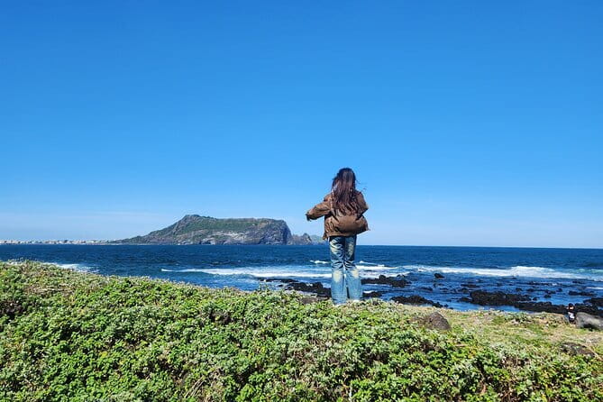 Jeju Private Half-Day Tour for Cruise Customers - Hamdeok Beach as the Monday alternative