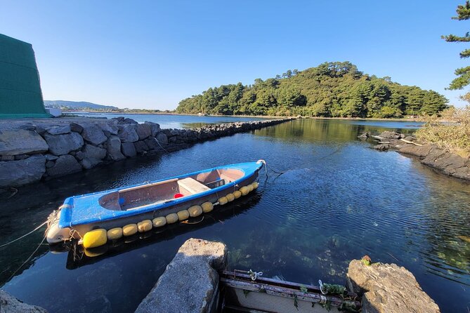 Jeju Private Half-Day Tour - UNESCO SITE Seongsan illchulbong - Is $320 good value for your group?