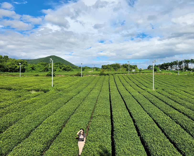Jeju Private Taxi Tour with a Licenced English Guide-Driver - Pick one route, not the entire island