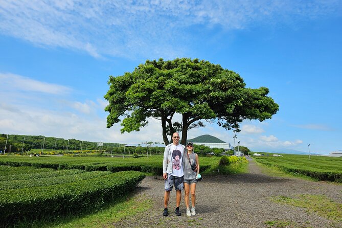Jeju Private Tour Package-South of Jeju(Mt.Hallasan & Waterfalls) - Yongmeori Coast, the day’s most natural-feeling walk