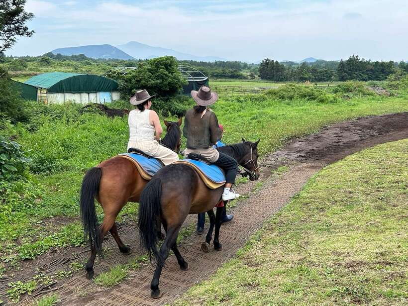 Jeju: Private Tour with an English Guide and a Vehicle - The guide can shape the day around you