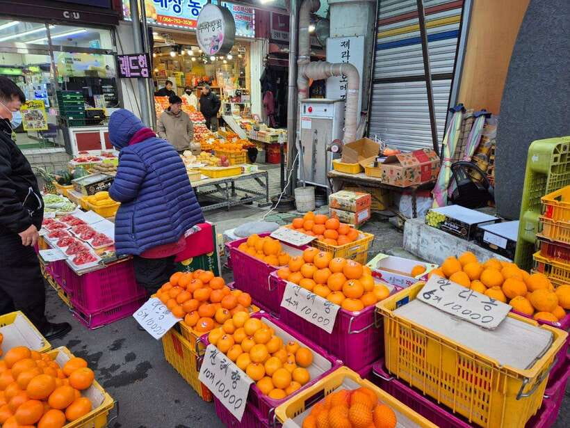 Jeju: Private Tour with an English Guide and a Vehicle - What the nine-hour schedule feels like