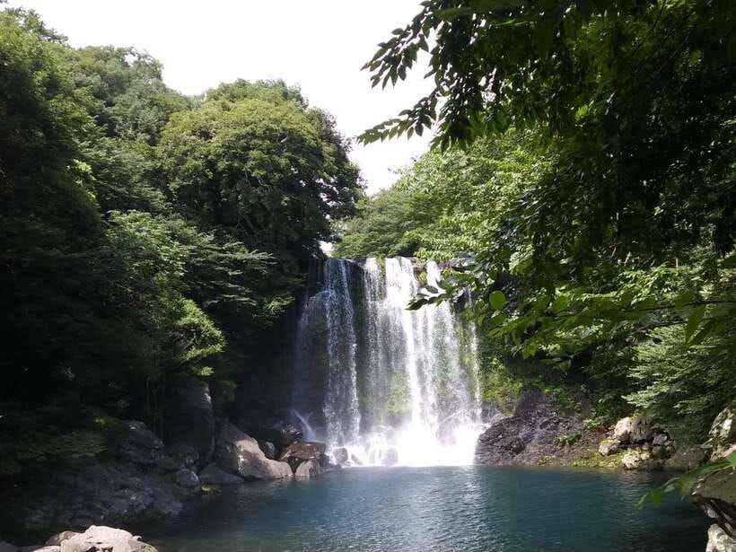 Jeju: Private Tour with an English Guide and a Vehicle - Booking advice