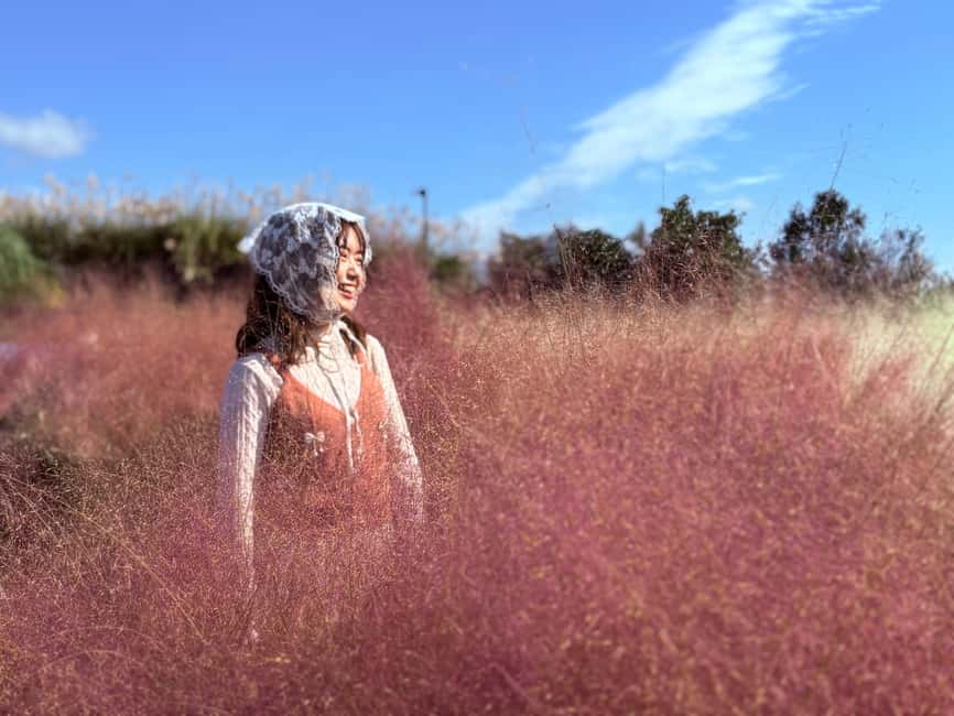 Jeju: Small Group Tour w/Pink Muhly & Tangerine Picking - Why this route works for an autumn day