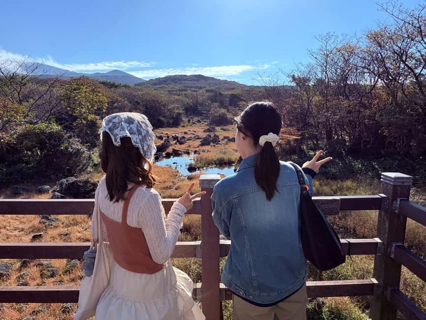 Jeju: Small Group Tour w/Pink Muhly & Tangerine Picking - Picking Jeju tangerines at the farm