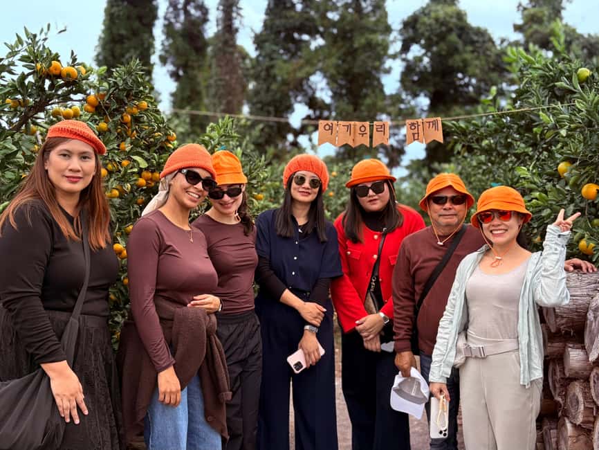 Jeju: Small Group Tour w/Pink Muhly & Tangerine Picking - Saebyeol Oreum’s silver grass finale