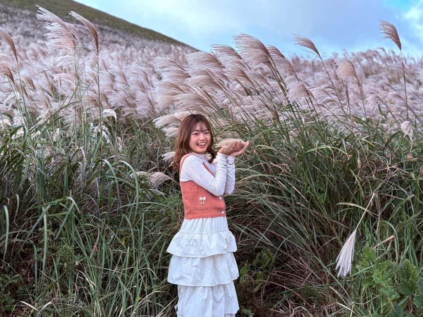 Jeju: Small Group Tour w/Pink Muhly & Tangerine Picking - Mt. Halla’s 1,100-meter wetland