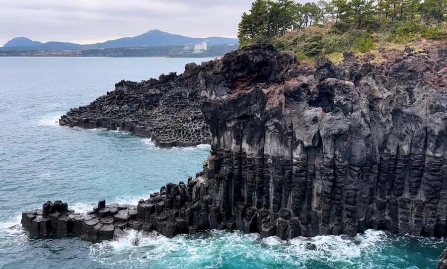 Jeju South: Small Group Healing Tour w/Mt.Halla & Olle Trail - O’Sulloc and Jeju’s tea culture