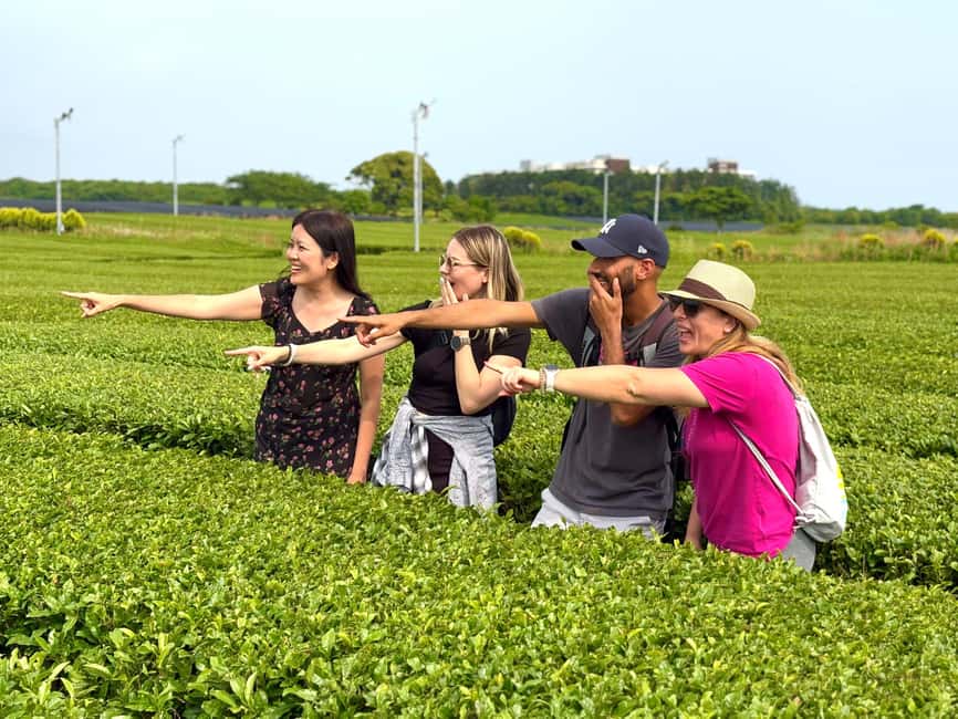 Jeju South: Small Group Healing Tour w/Mt.Halla & Olle Trail - Hallasan: a manageable mountain walk