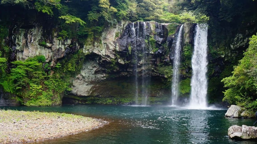 Jeju: Southern Top UNESCO Spots Bus Tour - Camellia Hill’s flowers and garden paths